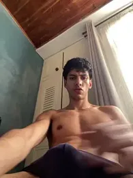 VirtualMauricio webcam model stream image