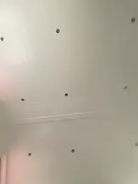 philefc webcam model stream image