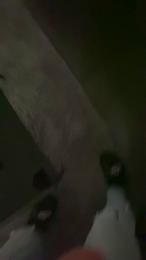 Blacktatto94 webcam model stream image