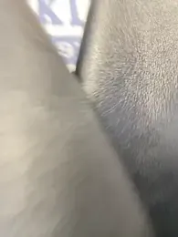 Sunny___Bunny webcam model stream image