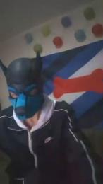 Pup_Hunter_1987 webcam model stream image