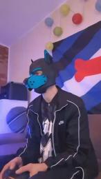 Pup_Hunter_1987 webcam model stream image