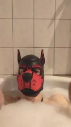Pup_Hunter_1987 webcam model stream image