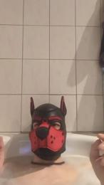 Pup_Hunter_1987 webcam model stream image