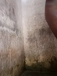 TamiliD1 webcam stripchat model stream image