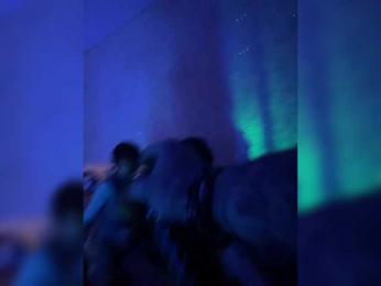 razvedos5 webcam model stream image