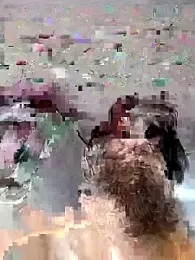 Armyexhibitionistvet webcam stripchat model stream image