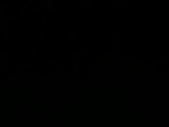 sophydiva webcam chaturbate model stream image