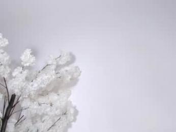 sweetsalice__ webcam model stream image