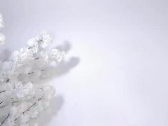 sweetsalice__ webcam chaturbate model stream image