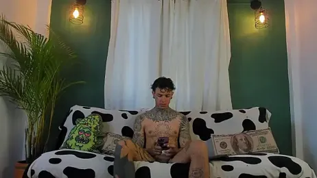 Aron_ford webcam model stream image