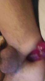 Culitoxcam webcam model stream image