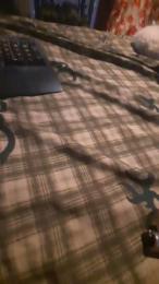 chch_sexy webcam model stream image