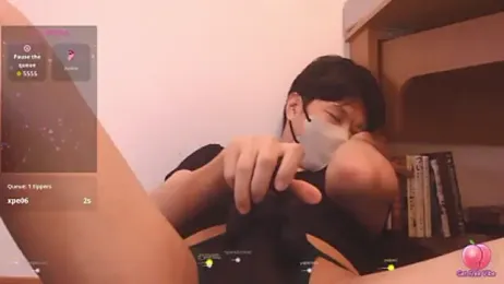 Kaidengi webcam model stream image