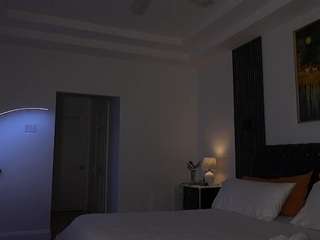 ms-k webcam model stream image