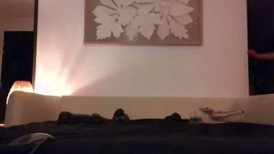 julien_e75 webcam model stream image