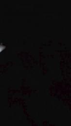 mbasso5 webcam model stream image