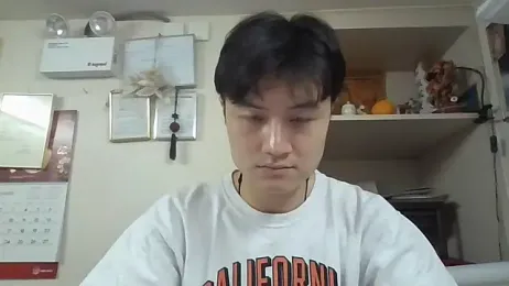 changbibit webcam model stream image