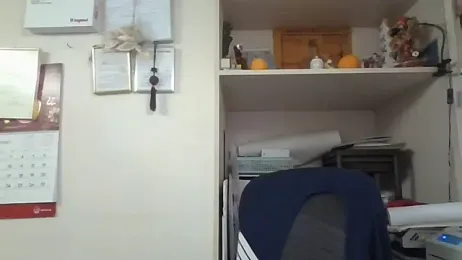 changbibit webcam model stream image