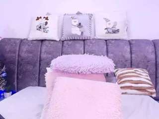 bss-naia webcam model stream image