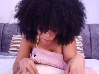 bss-naia webcam model stream image