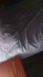 Trompa17 webcam cam4 model stream image