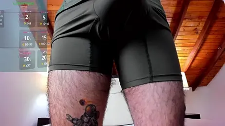 Sebastian_Berne webcam model stream image