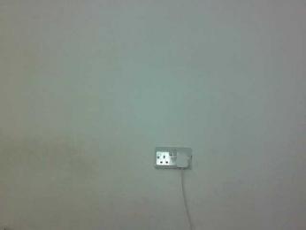 Hotybobbies webcam bongacams model stream image