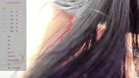 illegal_lorry webcam model stream image