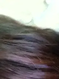 maya-Couple19 webcam stripchat model stream image