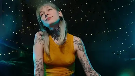 Littlespacemouse webcam model stream image