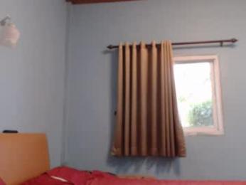 ninewladyboy webcam chaturbate model stream image