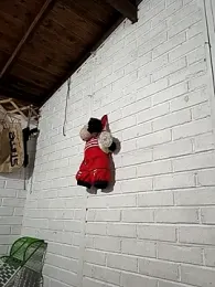 Agricultor1984 webcam model stream image