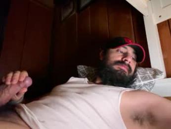 1ui5 webcam model stream image