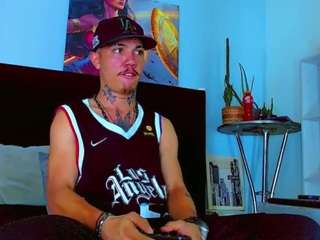 hannilest webcam model stream image