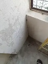 janu_9900 webcam model stream image