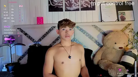 Austinking webcam model stream image