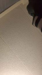 Daddyduemoore webcam model stream image