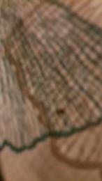 Caralhogrosse webcam model stream image