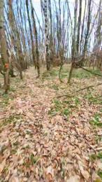 Legtiste webcam cam4 model stream image