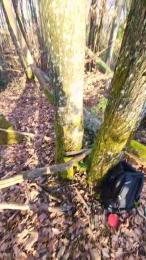 Legtiste webcam cam4 model stream image