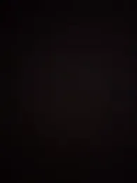 curis4270panda webcam model stream image