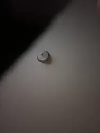 curis4270panda webcam model stream image