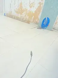 Renataalves webcam model stream image