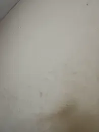 Eva-love12 webcam model stream image