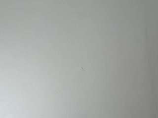 ilikehugeboobs361 webcam camsoda model stream image