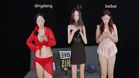 SR-101 webcam model stream image