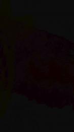 pucipuci webcam model stream image