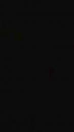 pucipuci webcam model stream image