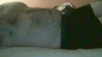 alvaromalaga webcam model stream image